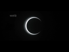 AC100-240V Bramka prędkości Kołowrót Budynek biurowy Optyczna bramka bariery prędkości